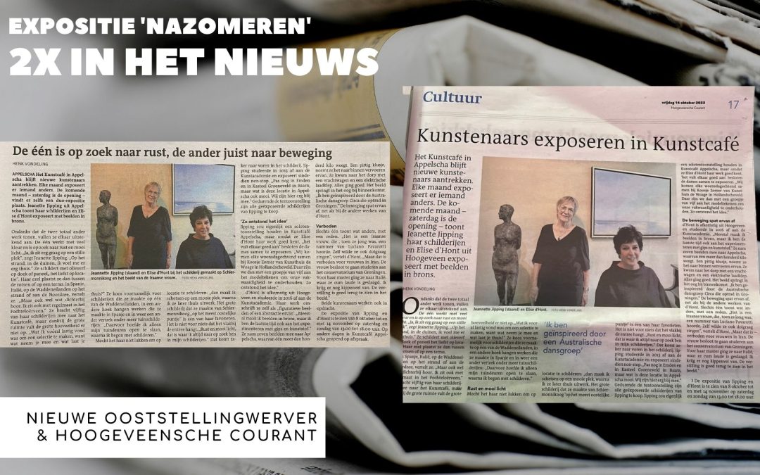 Nazomeren een krantenartikel Nieuw Ooststellingwerver en Hoogeveensche courant